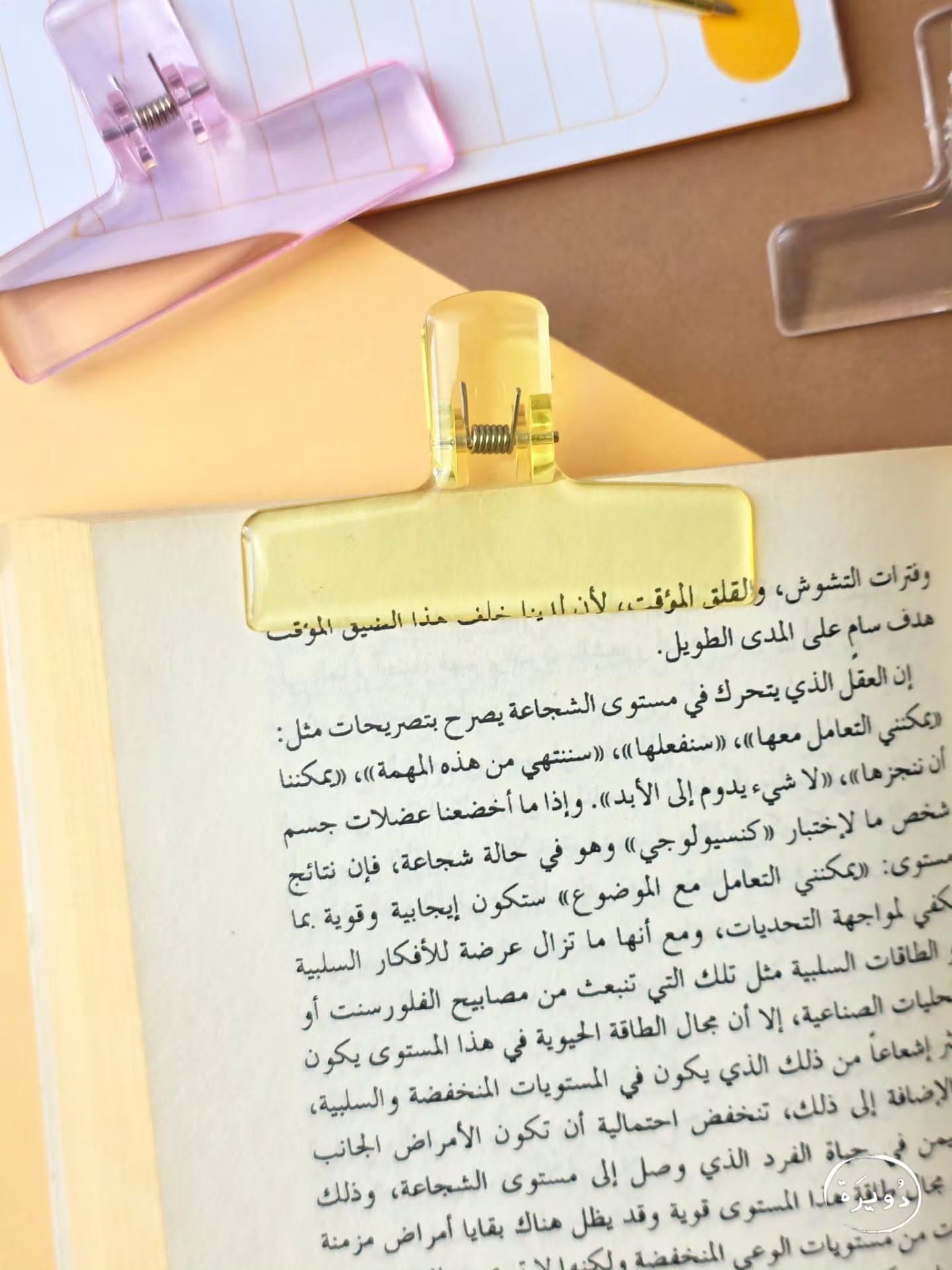 قراصة ورق كبيرة - اصفر