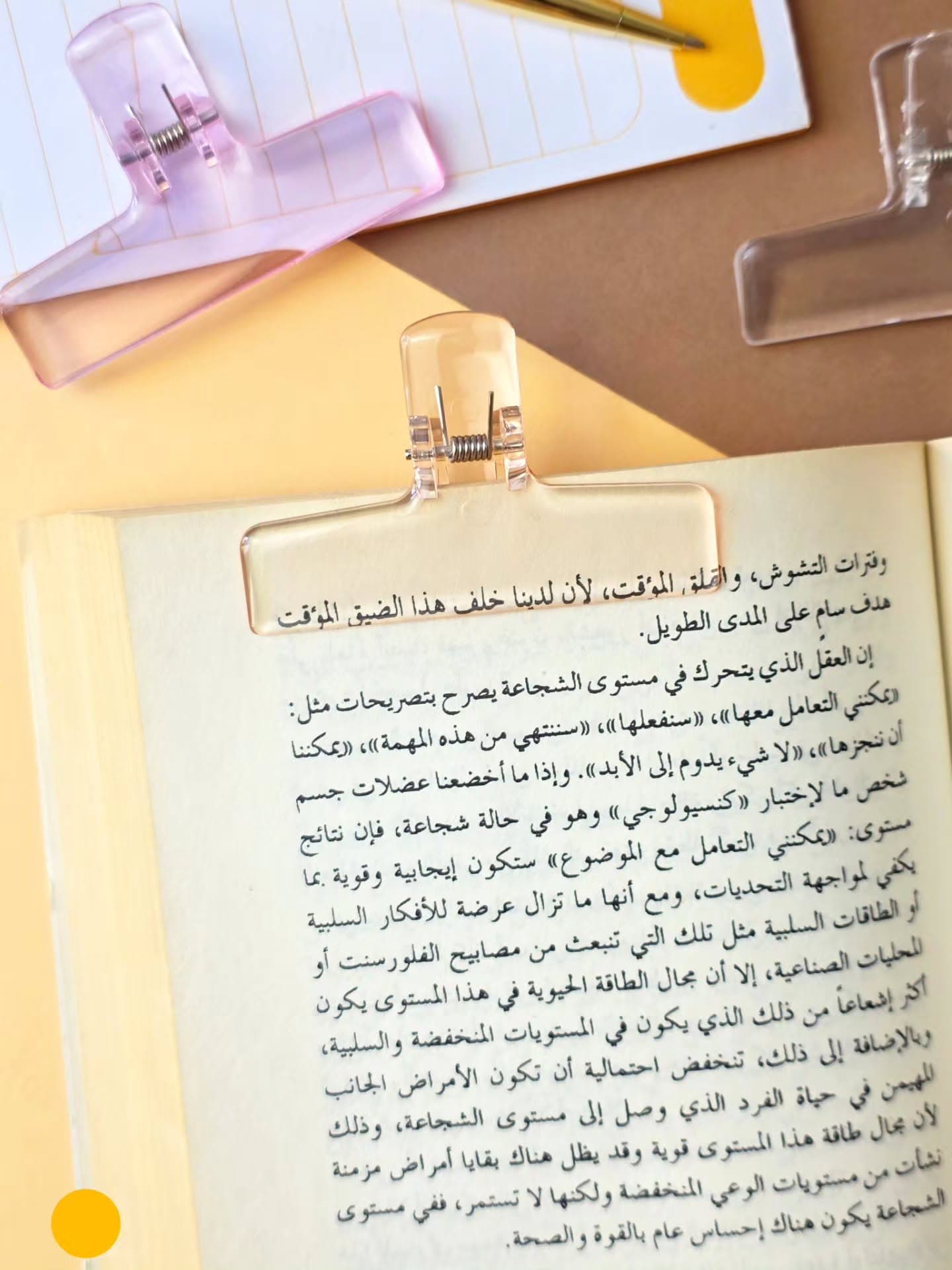 قراصة ورق كبيرة - برتقالي