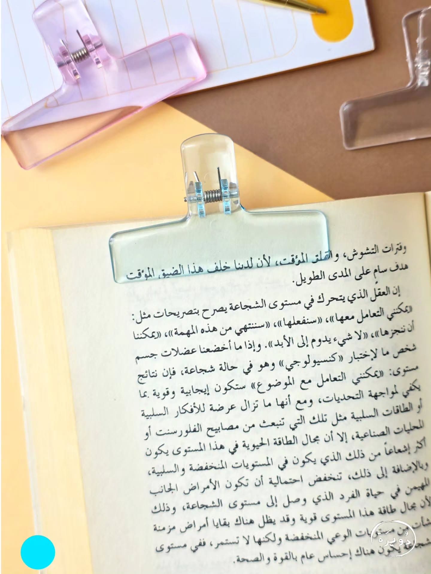 قراصة ورق كبيرة - تركواز