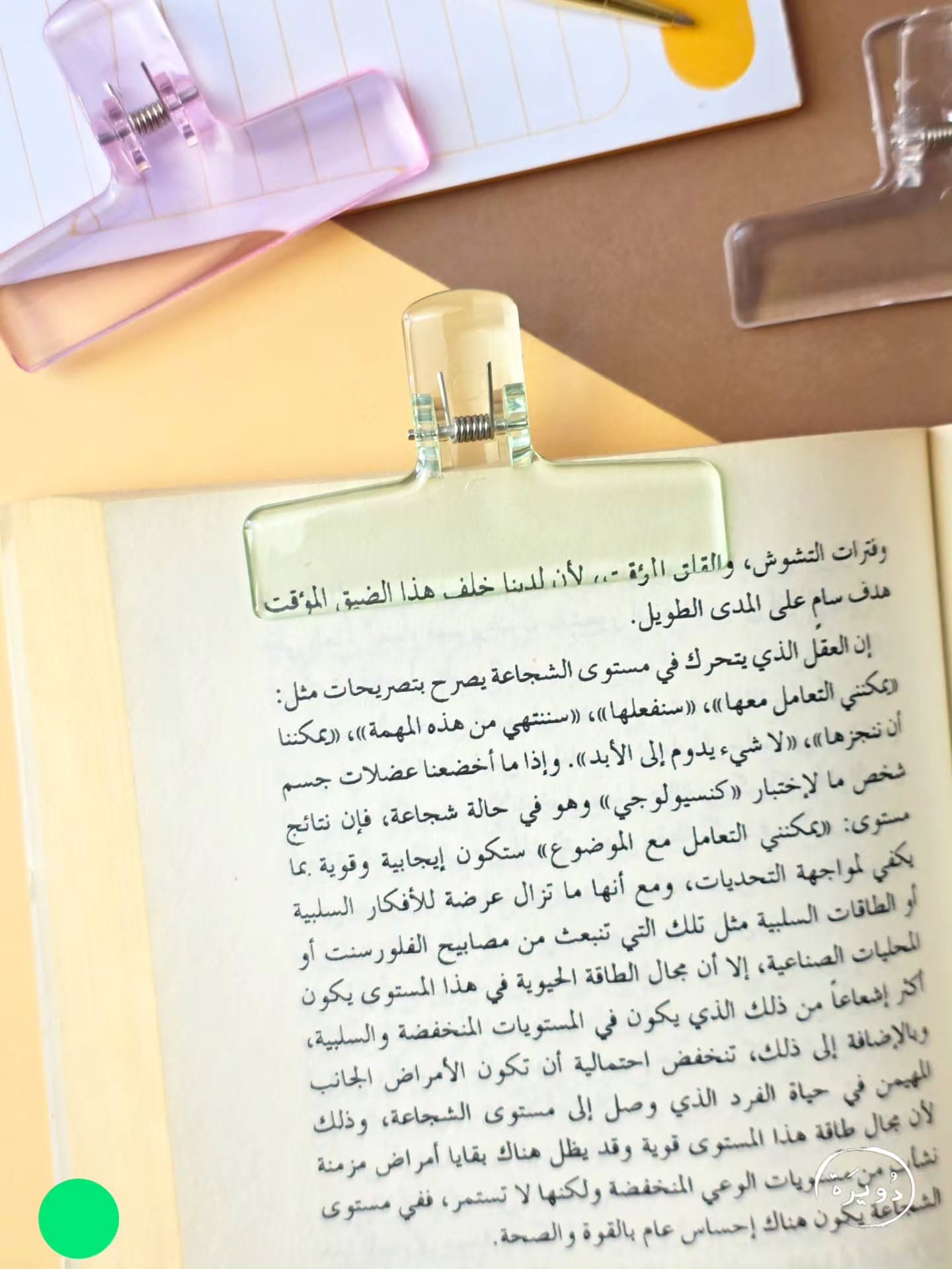 قراصة ورق كبيرة - اخضر