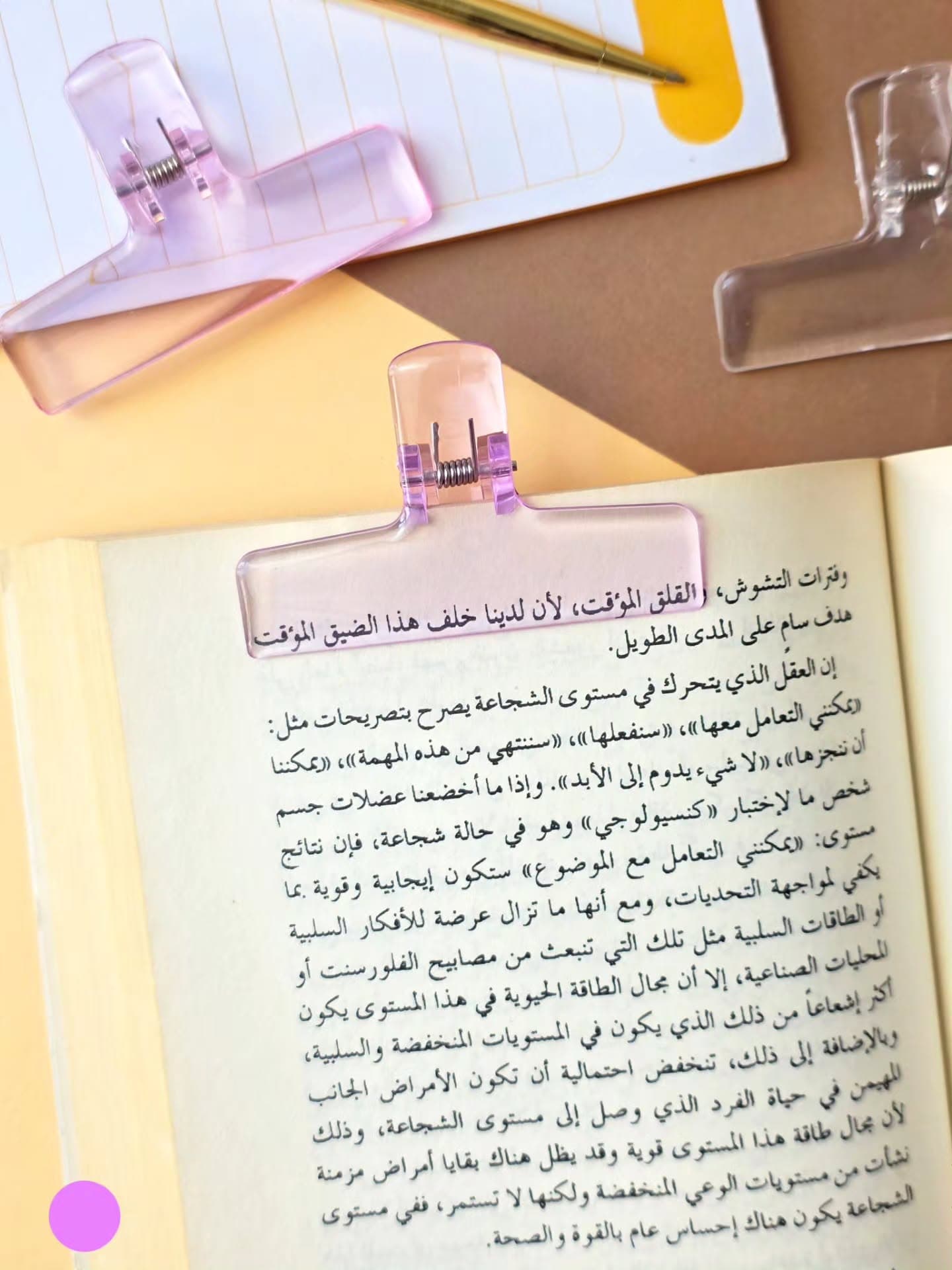 قراصة ورق كبيرة - بنفسجي