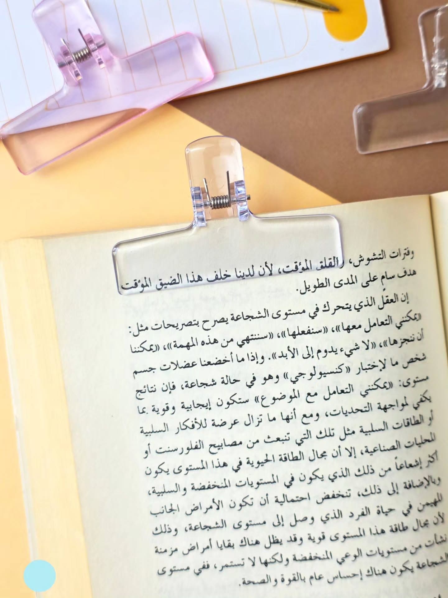 قراصة ورق كبيرة - ازرق